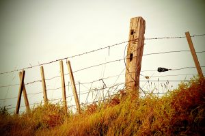 wire fence imagery to underscore mom protecting herself